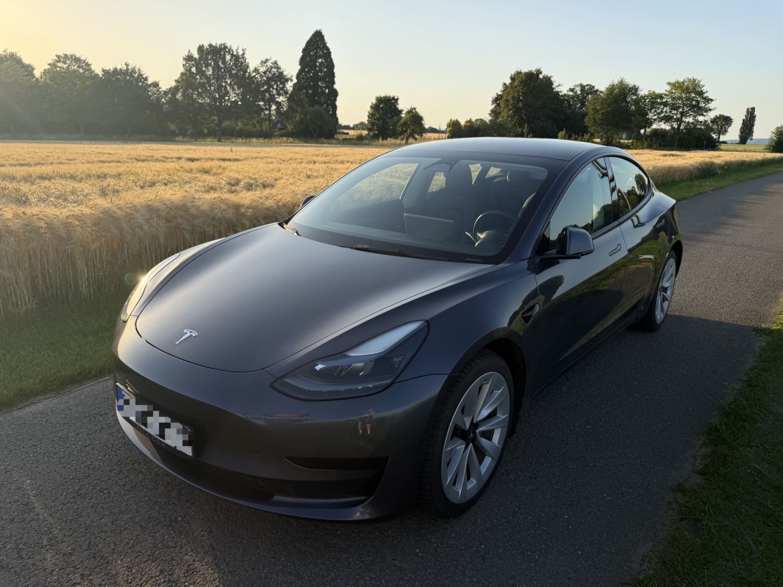 TESLA Model 3 Standard Range (SR+) Grau mit Garantie