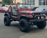 Jeep Wrangler YJ 4.2 LPG-H Zulassung-Hardtop-Türen- - Jeep: Hardtop