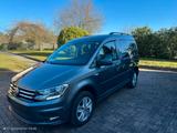 Volkswagen Caddy PKW Comfortline BMT 4Motion - mit Diesel-Antrieb: Standheizung, Pkw