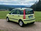Fiat Panda 1.2 Panoramadach  - Fiat Panda Gebrauchtwagen in Mönchengladbach