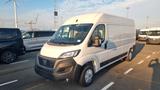 Fiat Ducato - Fiat Ducato Neuwagen