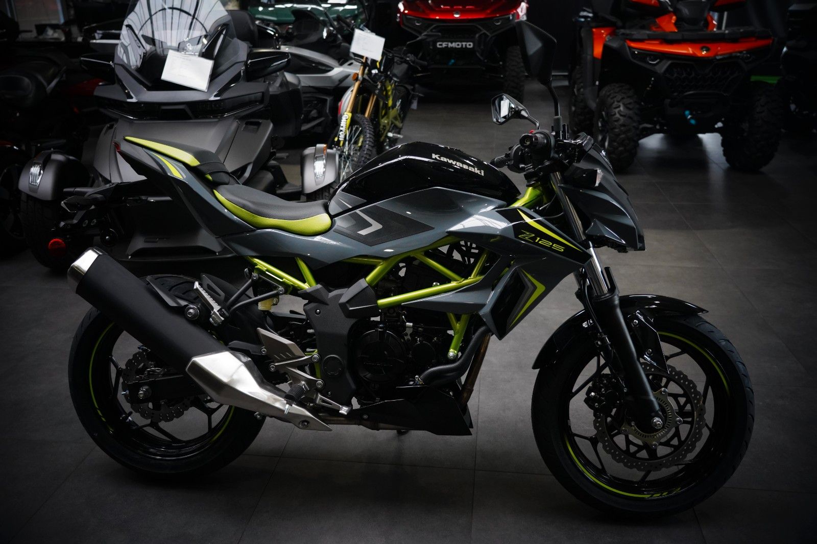 Fahrzeugabbildung Kawasaki Z 125