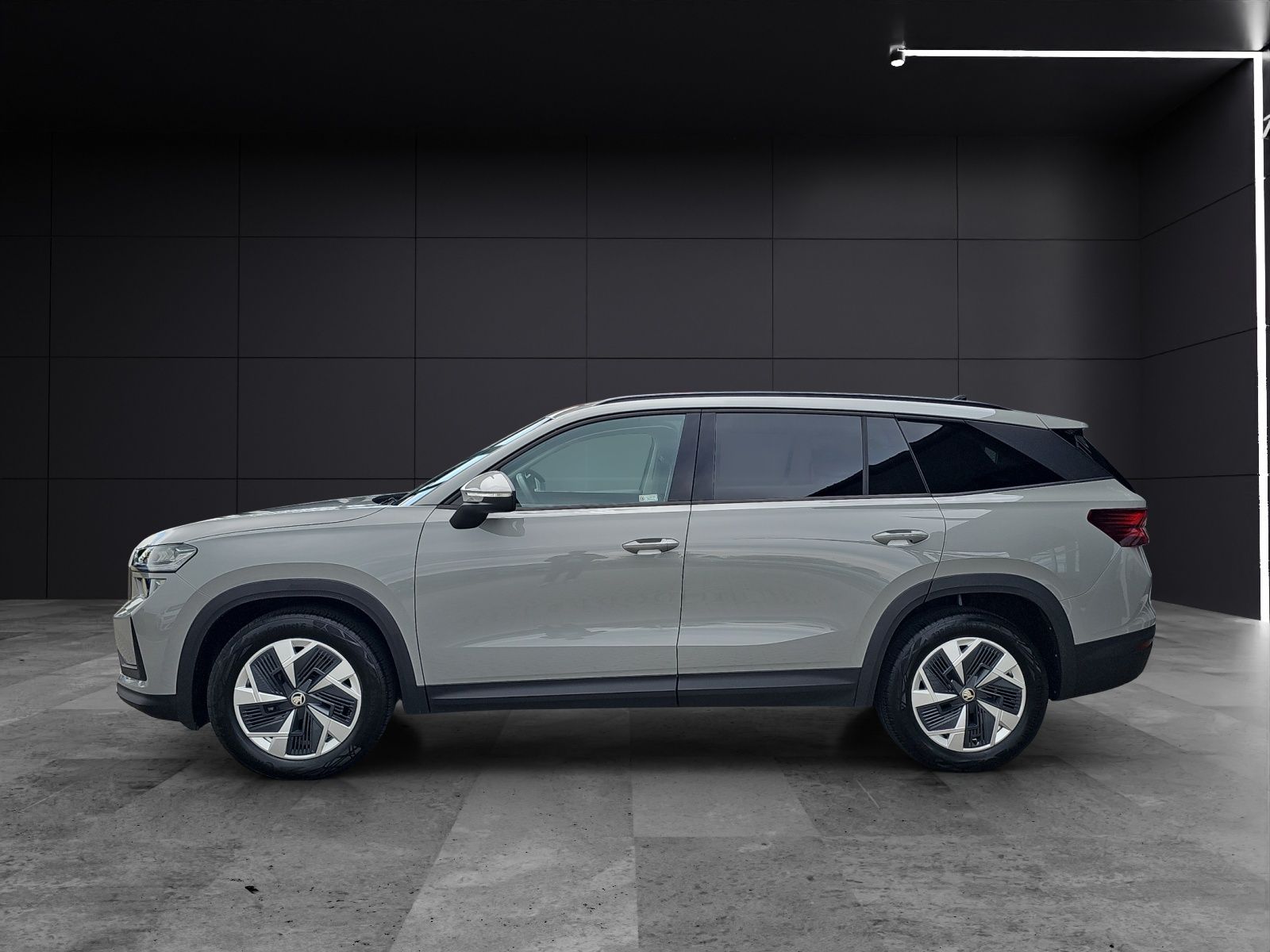 Fahrzeugabbildung SKODA Kodiaq TDI  4x4 Selection DSG ACC AHZ KAMERA