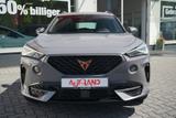 Cupra Formentor 2.0 TDI 4Drive DSG LED Navi AHK Kamera - Cupra Formentor in Chemnitz