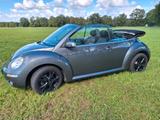 Volkswagen VW Käfer Cabrio, VW Beetle Cabrio - Volkswagen Beetle aus 2006: Cabrio