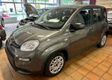Fiat Panda 1.0 GSE Hybrid - gebrauchte Fiat Panda aus dem Jahr 2024