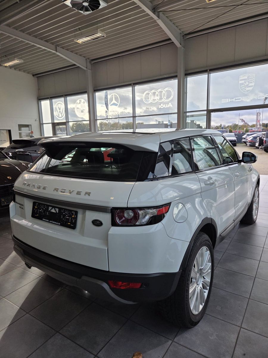 Fahrzeugabbildung Land Rover Range Rover Evoque Dynamic/erst 80000 km!