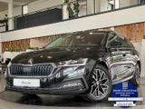 Skoda Octavia 2.0 TDI FirstEdit ViCo Matrix ACC AHK - Skoda in Landshut