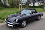 Alfa Romeo Spider - Alfa Romeo Oldtimer