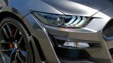 Ford Mustang 2.3  Shelby gt 500  F.Performance EU CoC - Ford: Shelby