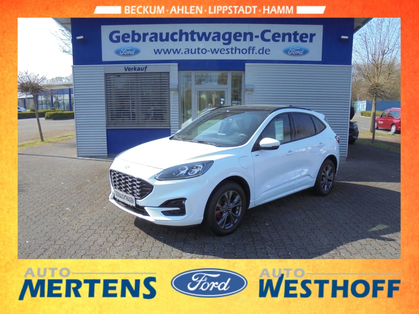 Ford Kuga Plug-In Hybrid ST-Line X Schiebedach GJR