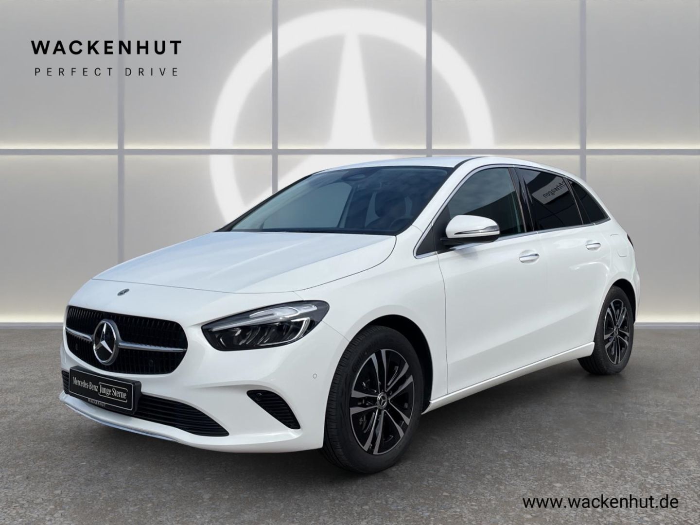 MERCEDES-BENZ B 250 e PROGRESSIVE ADVANCED AHK RFK LED WINTER