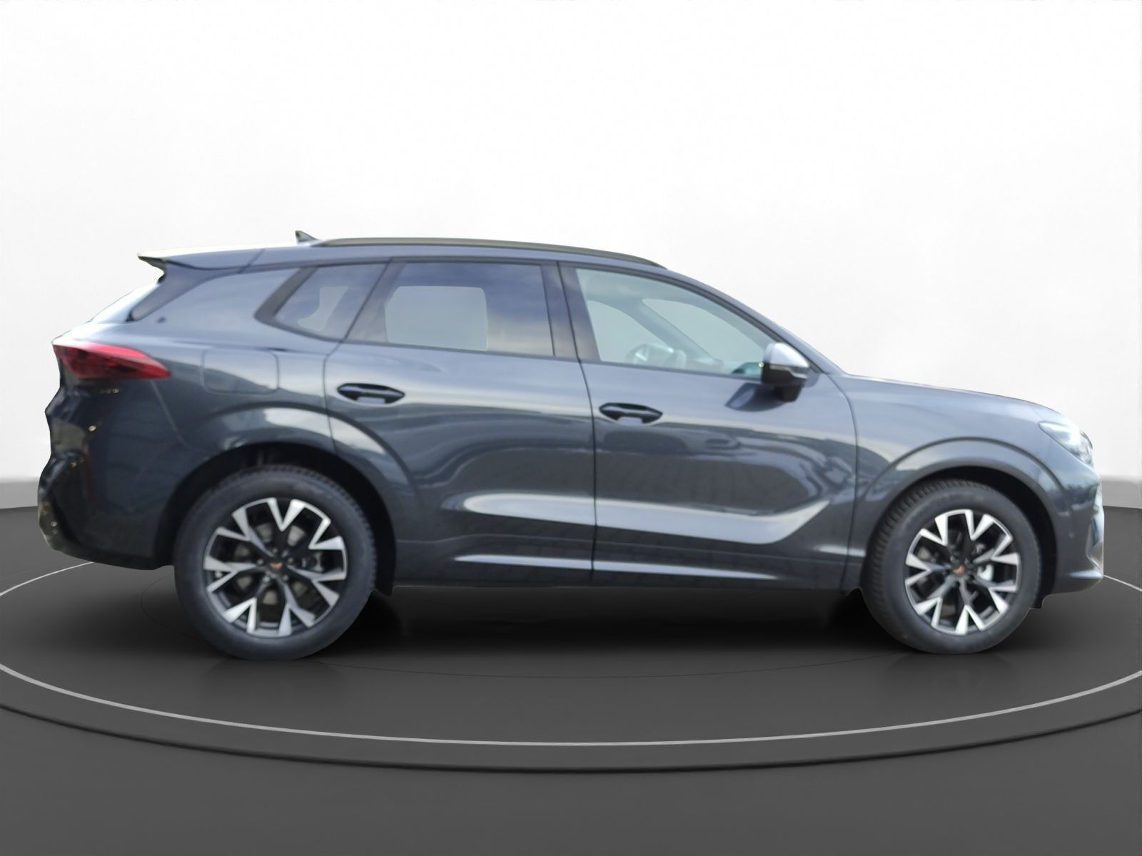 Cupra Terramar - Bild 8