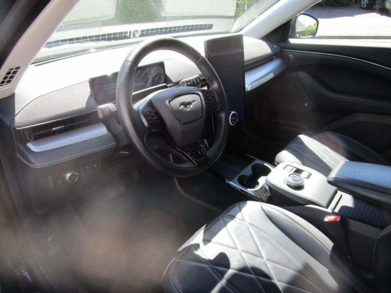 Ford Mustang Mach-E Basis