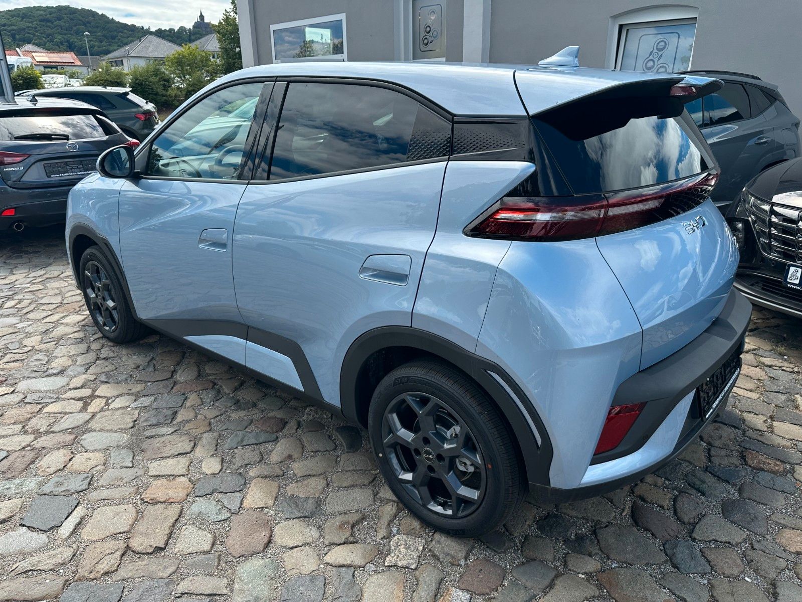 BYD DOLPHIN SURF