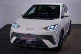 BYD DOLPHIN SURF 43.2 kWh Comfort*LED*360° Kamera*1 - BYD DOLPHIN Gebrauchtwagen