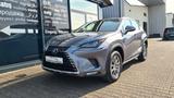 Lexus NX 300H - LEDER - LED - NAVI - 8 x ALU - - Lexus aus 2021