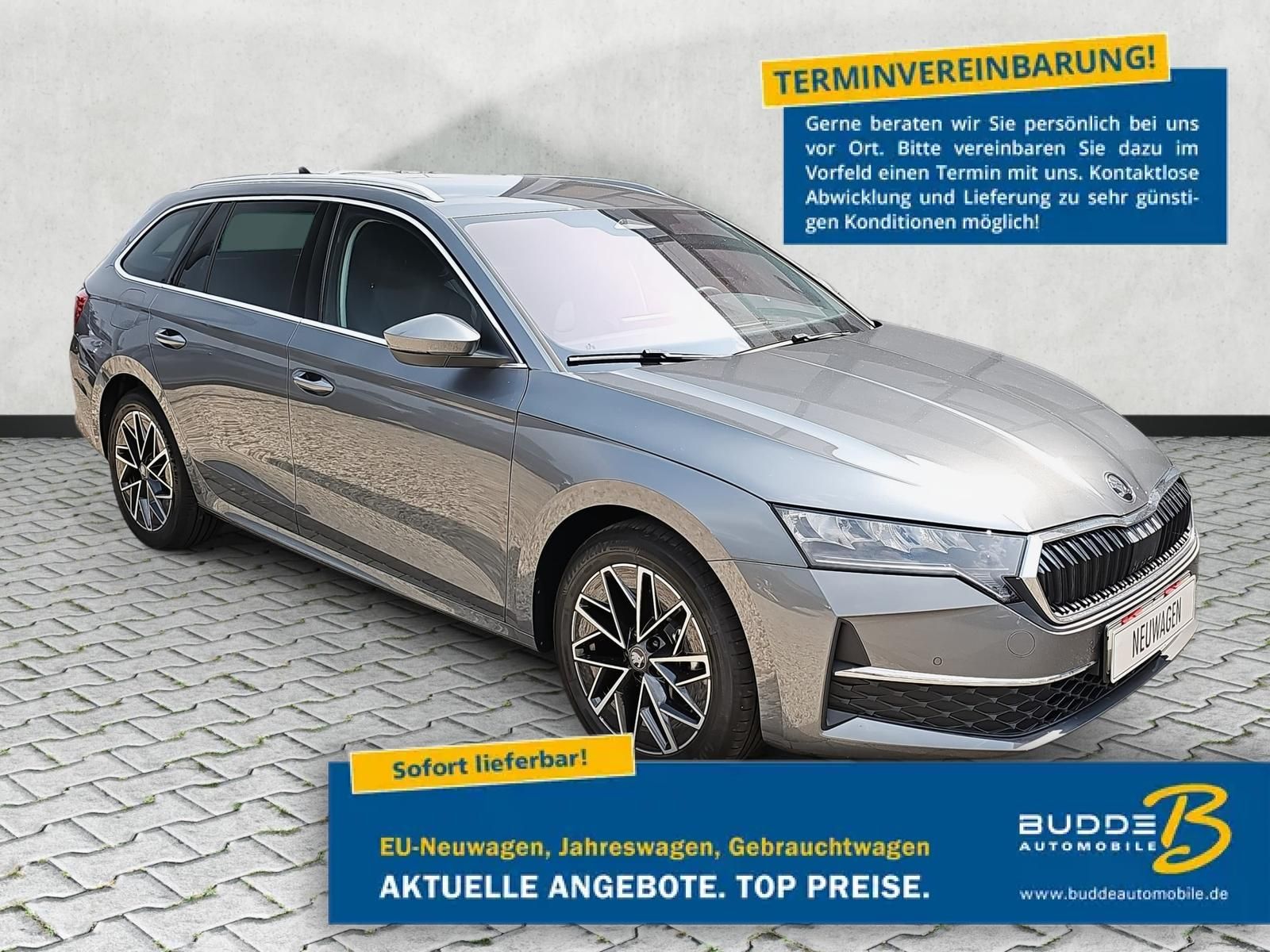 Skoda Octavia Combi 2.0 TDI DSG Selection ACC Navi AHK