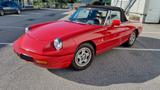 Alfa Romeo Zum Verkauf steht ein wunderschöner Alfa Romeo S - Alfa Romeo Gebrauchtwagen von 1990