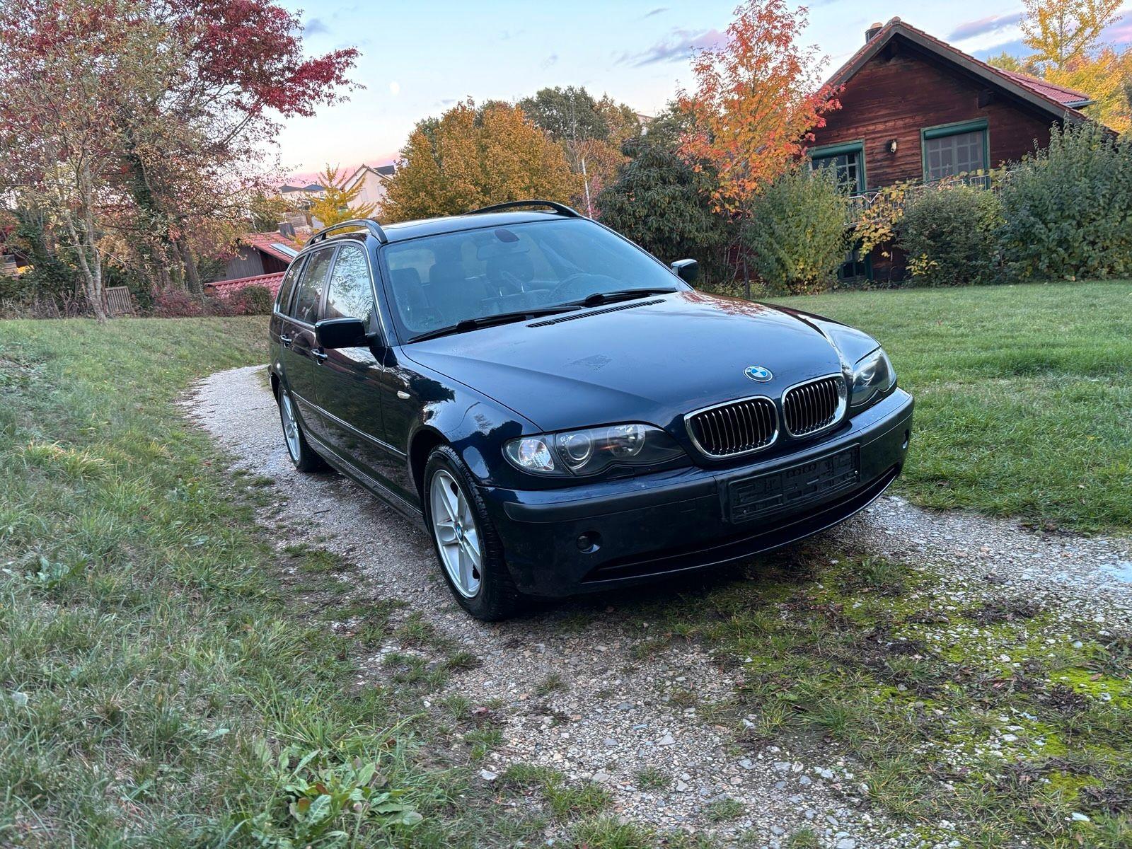BMW 318 2005 — вигляд ззаду