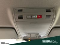 Skoda Kamiq - Vorschau Bild 15