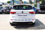 Cupra Ateca 2.0TSI 4Drive DSG LED Navi 360° Beats ACC - Cupra aus 2019