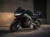 Aprilia Tuono 660 Factory Torque Red - APRILIA TUONO R FACTORY