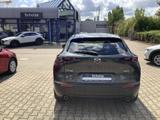 Mazda CX-30 G 150 Selection Premium Matrix-LED Bose 36 - Mazda Gebrauchtwagen in Erfurt