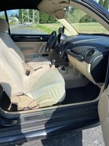 Volkswagen VW Beetle Cabrio - Volkswagen Beetle aus 2007: Cabrio