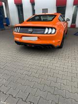 Ford Mustang 5.0 Ti-VCT V8 GT Auto GT  - Ford Mustang Gebrauchtwagen in Wuppertal