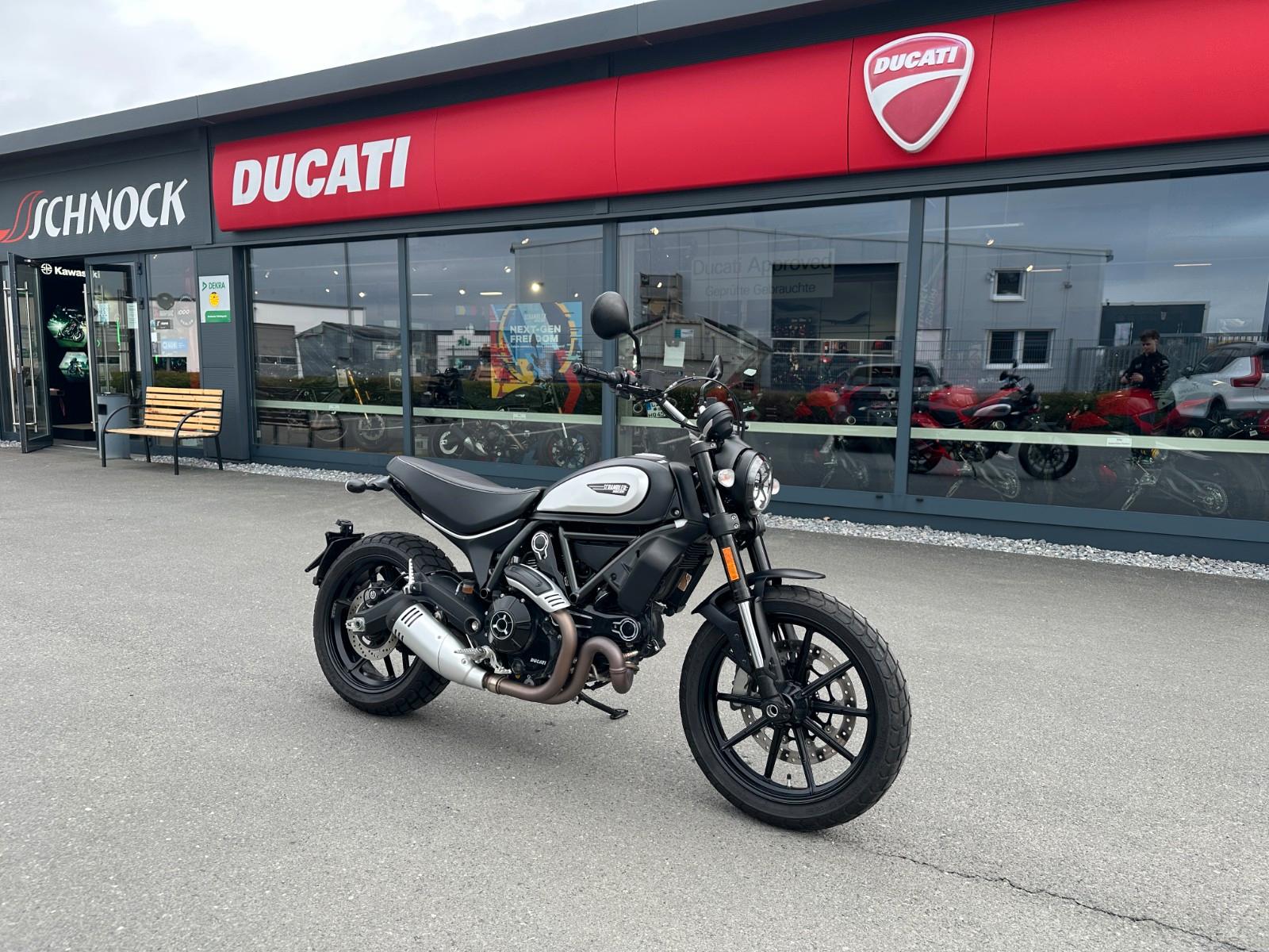 Ducati Scrambler 800 *sofort verfügbar*