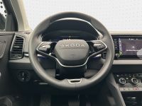 Skoda Karoq - Vorschau Bild 8