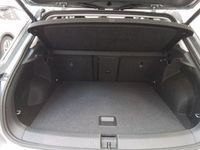 Volkswagen T-Roc - Vorschau Bild 8