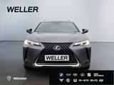 Lexus UX 250h Style Edition *Bi-LED*ACC*CAM*SHZ*CarPla - Lexus UX