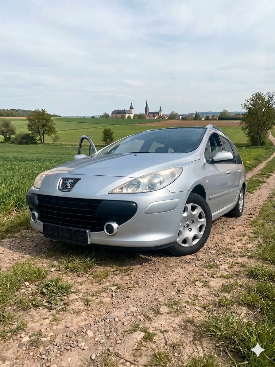 Peugeot 307 2007 — rear view