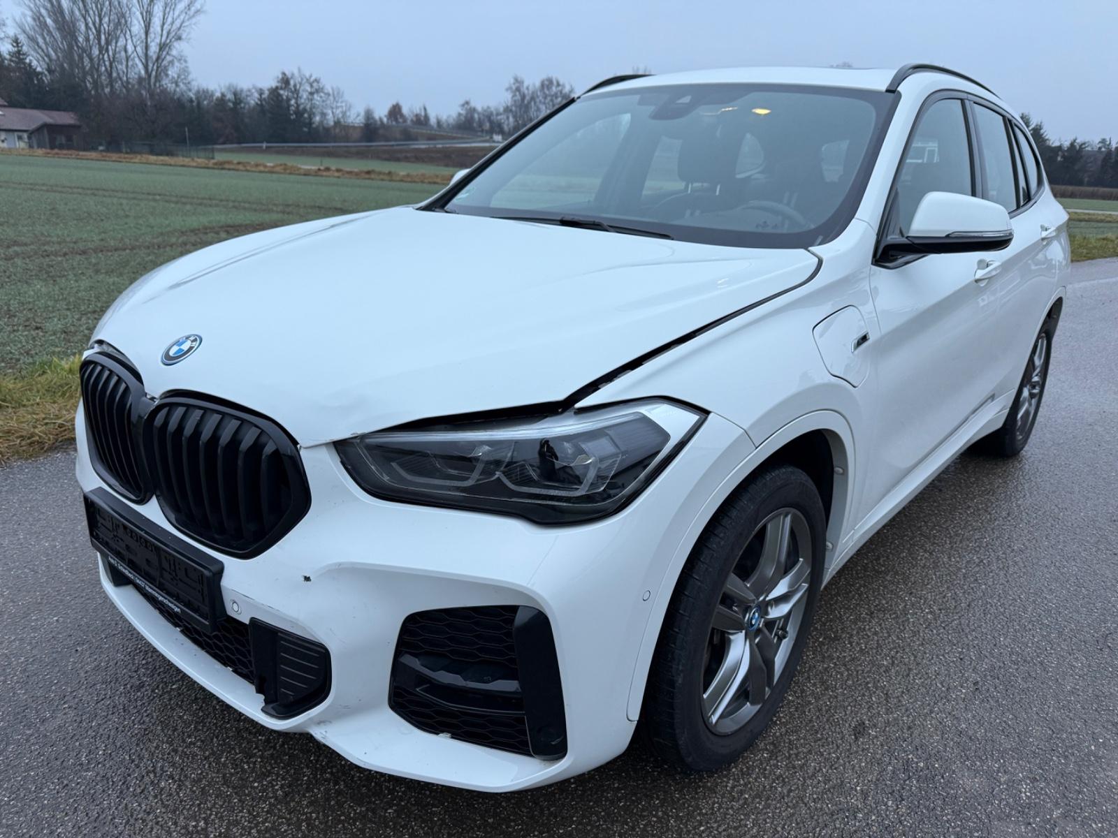 BMW X1 25e xDrive 25 M Sport Aut./Navi/Pano/Kam.