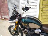 Triumph Scrambler Steve McQueen - Offers