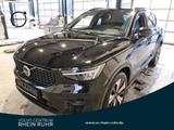 Volvo XC40 T5 PLUG-IN PLUS DARK AHK+FAP+LM19+STANDHZ+ - Volvo XC40 in Essen