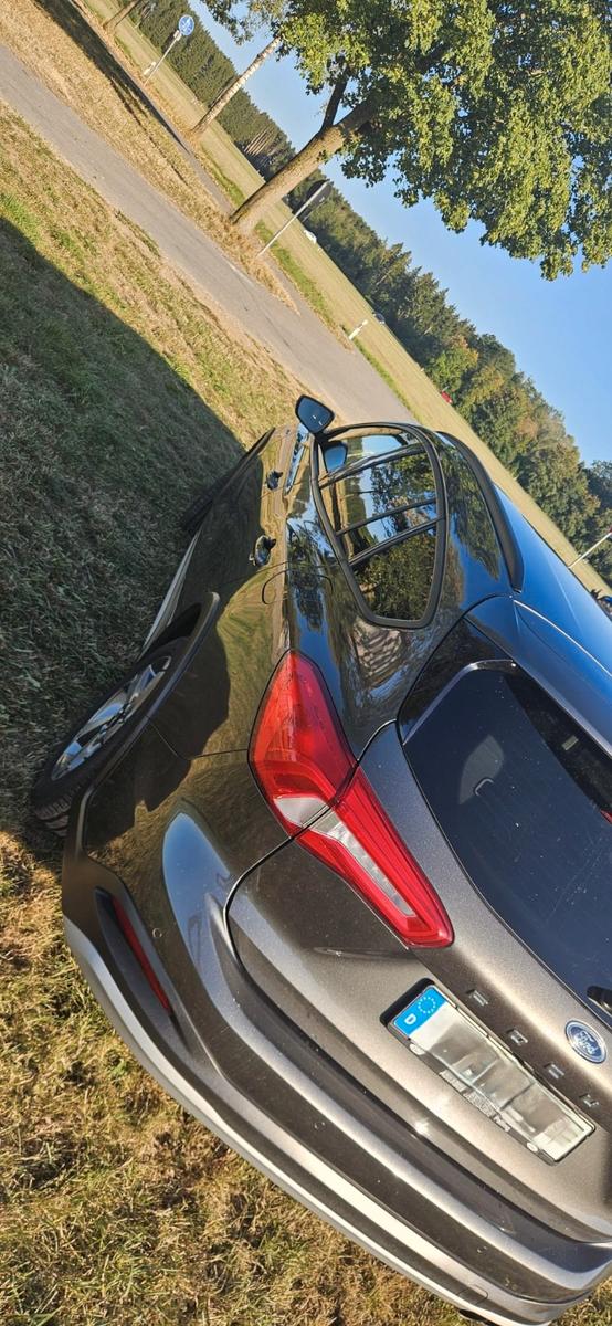 Ford Focus 2,0 EcoBlue 110kW Active X Turnier A. ...