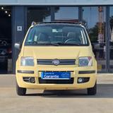 Fiat Panda 1.2 8V Dynamic|Automatik|Pano./PDC. - Fiat Panda: Automat