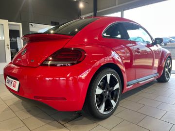 Volkswagen Beetle - 8