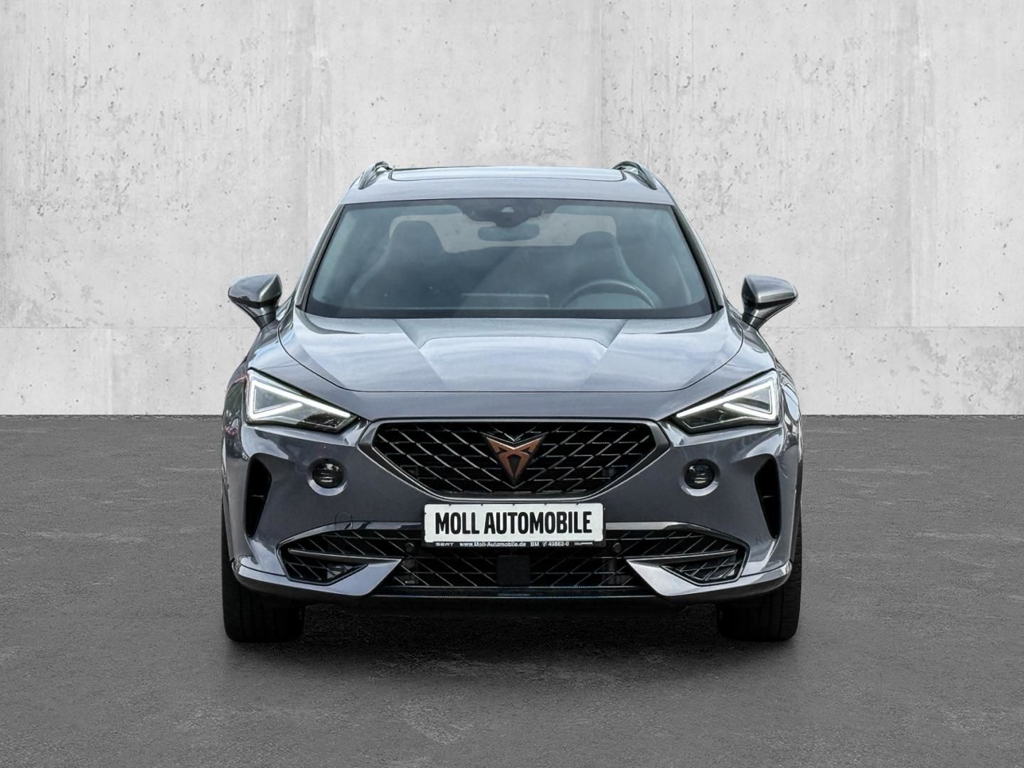 Cupra Formentor VZ 4Drive 2.0 TSI EU6d 7-Gang DSG Pano imagem 3