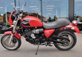 Triumph Thunderbird Sport 900 T309 - Angebote entsprechen deinen Suchkriterien
