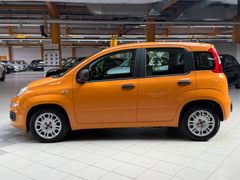 FIAT Panda Mild-Hybrid|DAB+|City-Lenkung|Klima|USB
