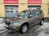 Skoda Yeti Active 4x4 2.0 TDI Klima SHZ PDC Anhängerku - Skoda Yeti Active mit Diesel-Antrieb