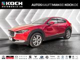 Mazda CX-30 2.5 140 6AT FWD Exclusive-line ACC 360 BOS - Mazda CX-30 Exclusive-Line mit Benzin-Antrieb