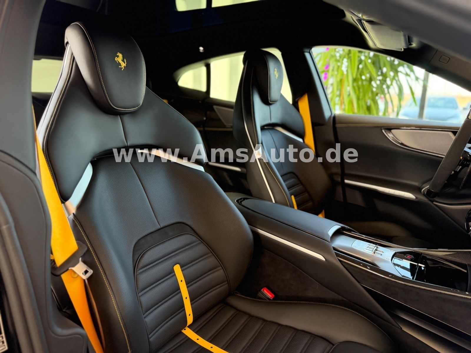 Purosangue Full Carbon Pano Massage