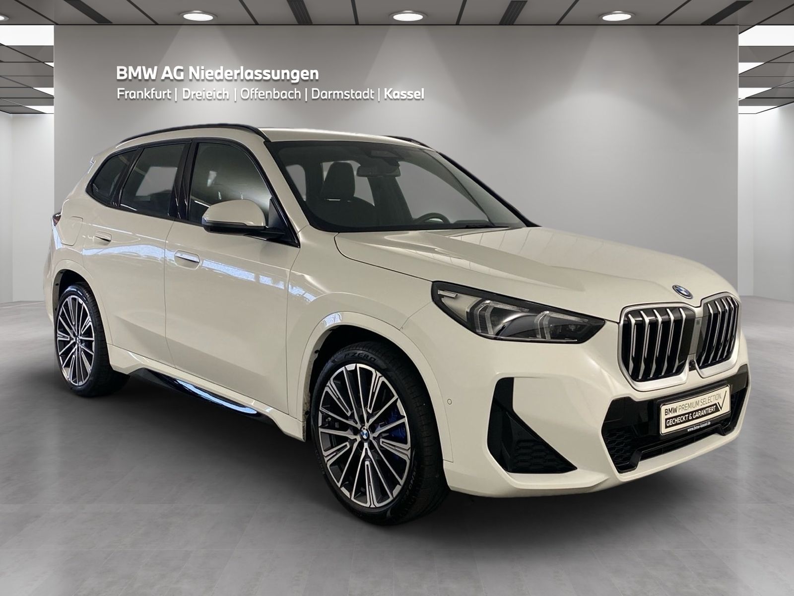 BMW X1 xDrive30e M Sport Driv.Assist.Prof Harman K foto 3
