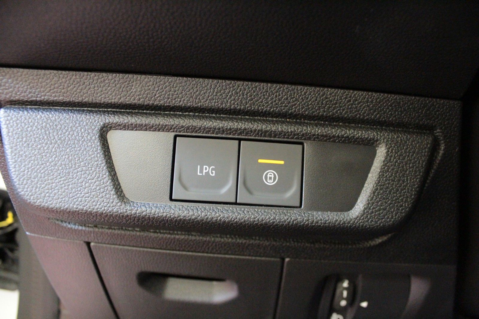 Fahrzeugabbildung Dacia Sandero Eco-G 100 Stepway Extreme+