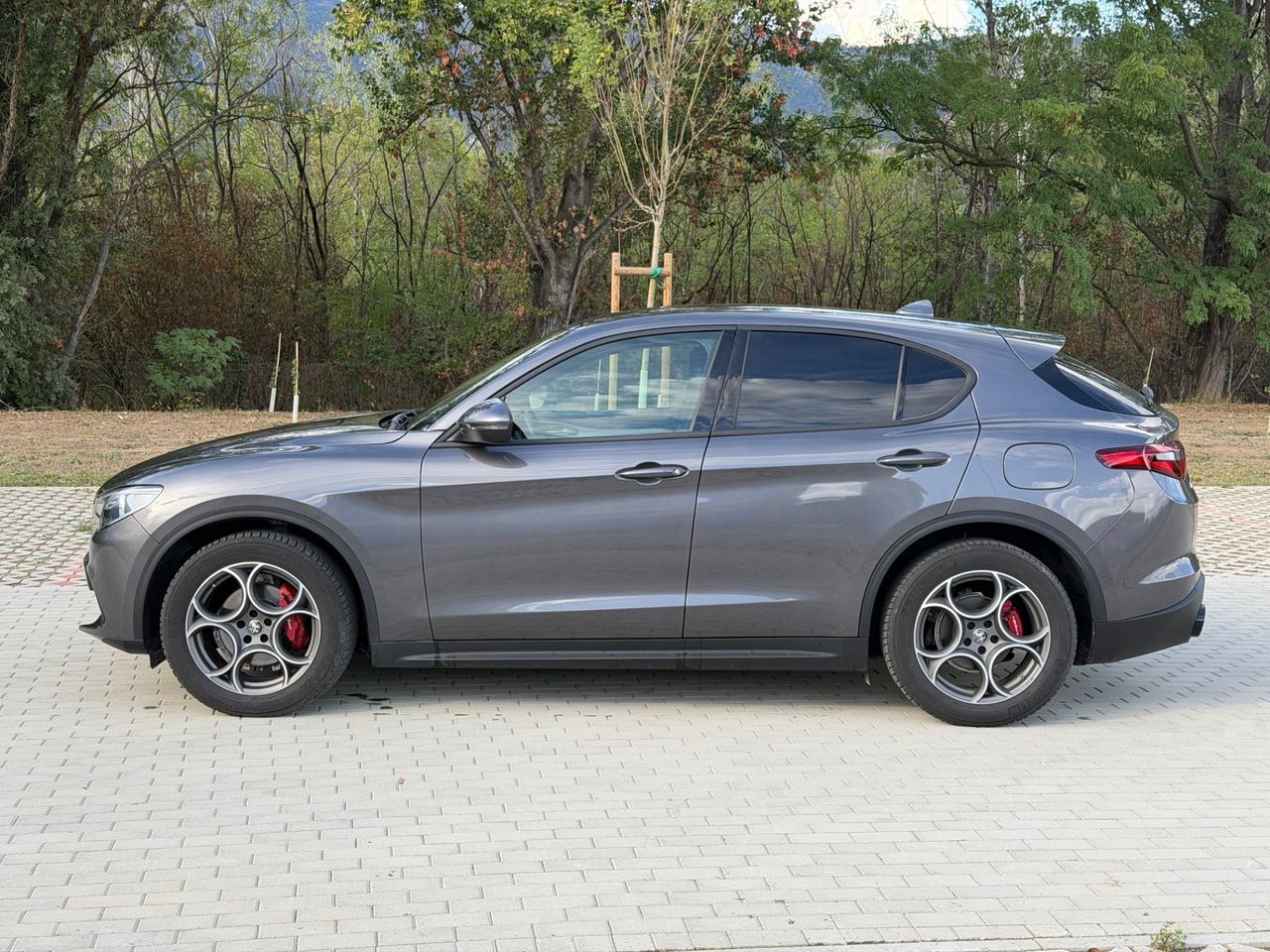 Alfa Romeo Stelvio Iva esposta 2.2 190 CV AT8 Q4 imagem 3